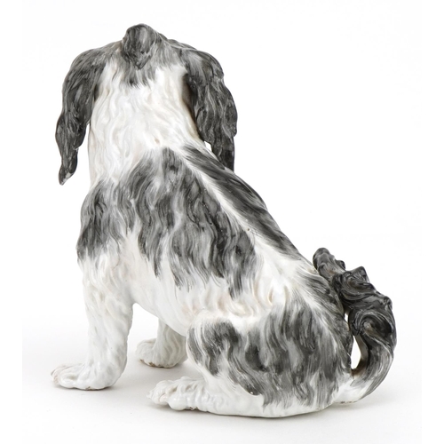 214 - Meissen, German porcelain model of a seated Bolognese Hound, blue crossed sword marks to the base, 1... 