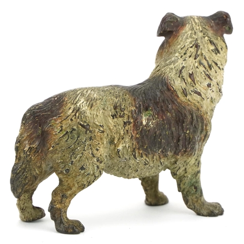 176 - 19th century Austrian cold painted bronze Colley dog, 7.5cm in length