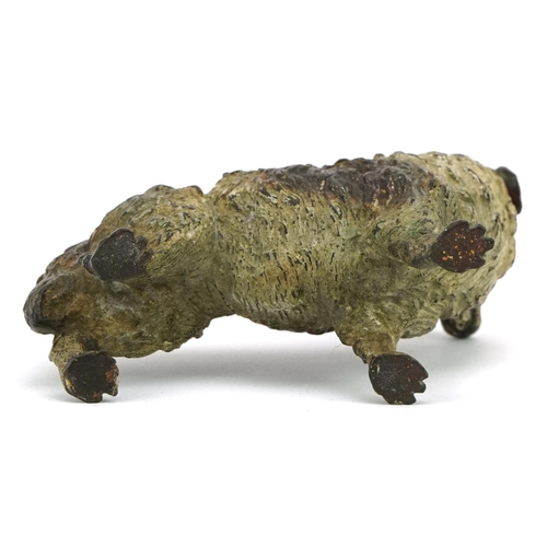 176 - 19th century Austrian cold painted bronze Colley dog, 7.5cm in length