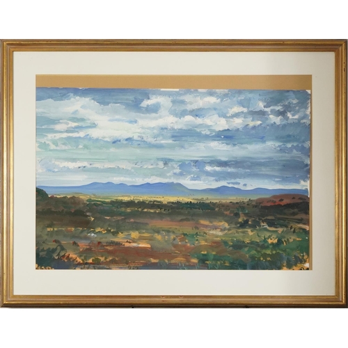 350 - Gerhard Batha - Panoramic South African landscape, gouache, mounted and framed and glazed, 97cm x 68... 