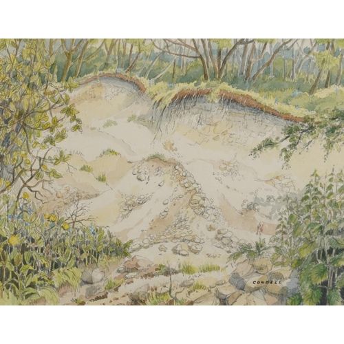 3112 - Condell - Woodland landscape with foliage, pencil and watercolour, mounted, framed and glazed, 45cm ... 