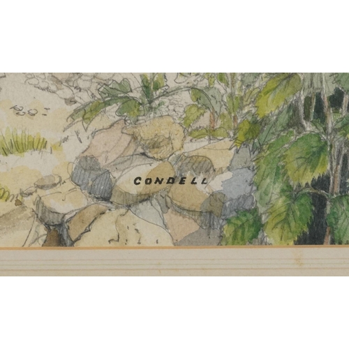 3112 - Condell - Woodland landscape with foliage, pencil and watercolour, mounted, framed and glazed, 45cm ... 