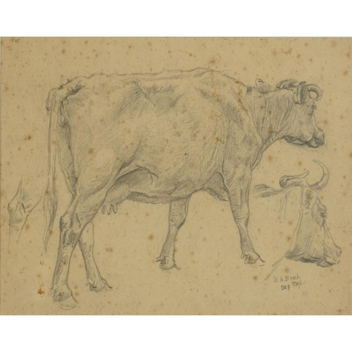 3026 - Richard Henry Brock 1896 -  Studies of a cow facing right, late 19th century pencil sketch, provenan... 