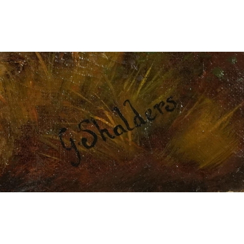 1011 - Manner of George Shalders - Mountainous river landscapes with Highland cattle, pair of 19th century ... 