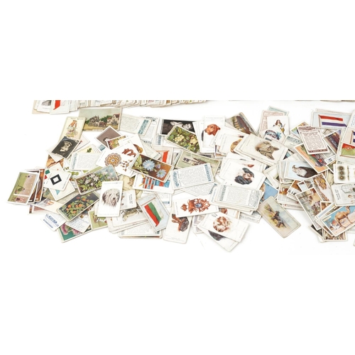 131 - Large collection of cigarette cards, various genres, including Will's and Godfrey Phillips