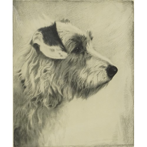 31 - Six Terrier dog prints, some in colour, three mounted, framed and glazed, the largest 26.5cm x 18.5c... 