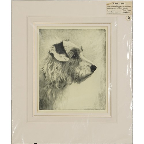 31 - Six Terrier dog prints, some in colour, three mounted, framed and glazed, the largest 26.5cm x 18.5c... 