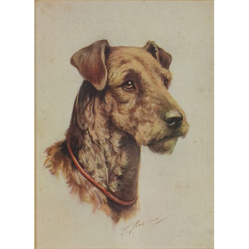 31 - Six Terrier dog prints, some in colour, three mounted, framed and glazed, the largest 26.5cm x 18.5c... 