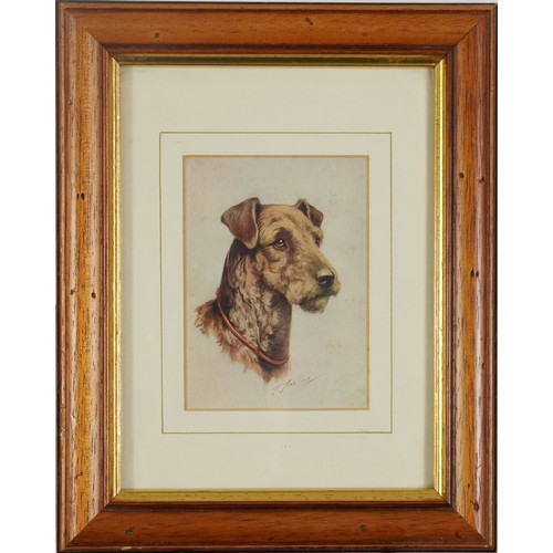 31 - Six Terrier dog prints, some in colour, three mounted, framed and glazed, the largest 26.5cm x 18.5c... 