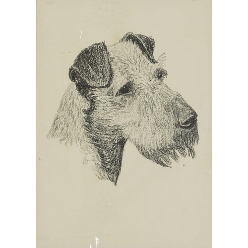 31 - Six Terrier dog prints, some in colour, three mounted, framed and glazed, the largest 26.5cm x 18.5c... 