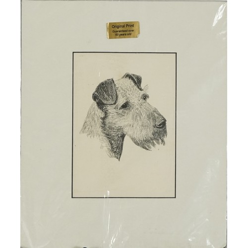 31 - Six Terrier dog prints, some in colour, three mounted, framed and glazed, the largest 26.5cm x 18.5c... 