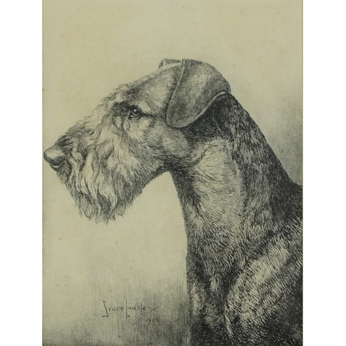 31 - Six Terrier dog prints, some in colour, three mounted, framed and glazed, the largest 26.5cm x 18.5c... 