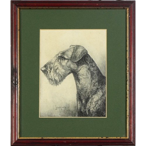 31 - Six Terrier dog prints, some in colour, three mounted, framed and glazed, the largest 26.5cm x 18.5c... 