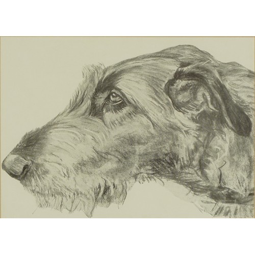 31 - Six Terrier dog prints, some in colour, three mounted, framed and glazed, the largest 26.5cm x 18.5c... 