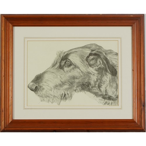 31 - Six Terrier dog prints, some in colour, three mounted, framed and glazed, the largest 26.5cm x 18.5c... 