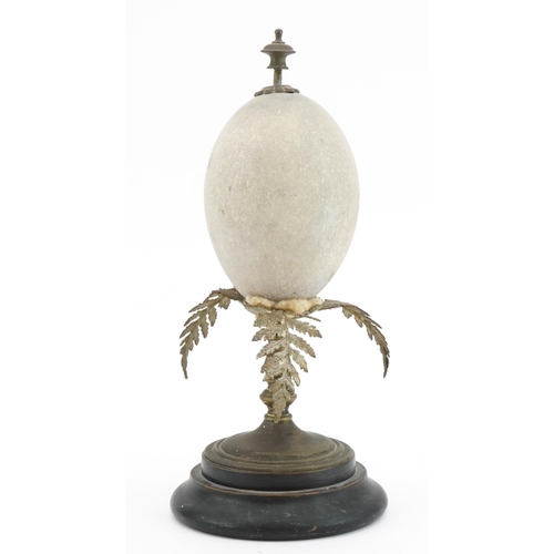 127 - Australian interest emu egg carved with an emu on a naturalistic brass stand with circular ebonised ... 