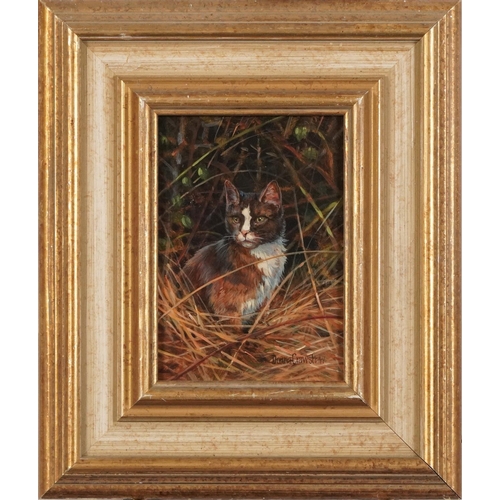 93 - Donna Crawshaw - Cat in Hedge I, Modern British oil on board, O G Mell Galleries London label and in... 