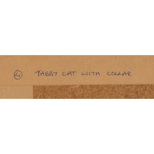 340 - Tabby cat with collar, Modern British watercolour, Portal Gallery label inscribed Tabby cat with col... 