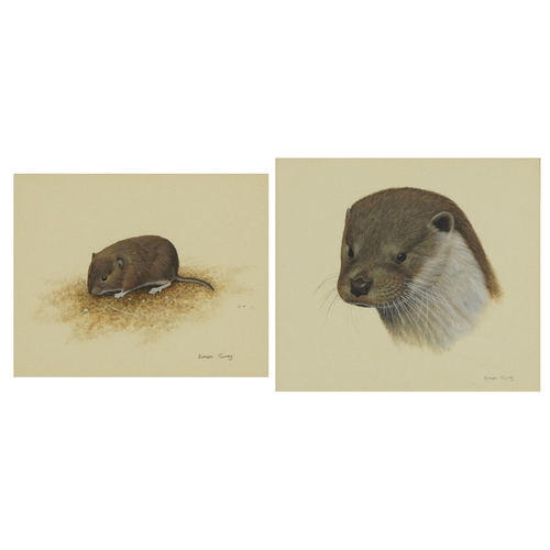 235 - Simon Turvey - Field mouse and otter, near pair of  wildlife gouaches, mounted, framed and glazed, t... 