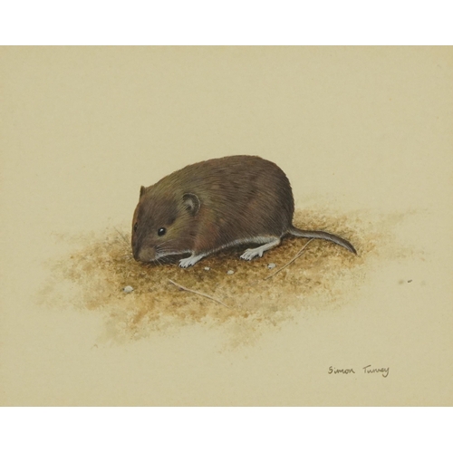 235 - Simon Turvey - Field mouse and otter, near pair of  wildlife gouaches, mounted, framed and glazed, t... 