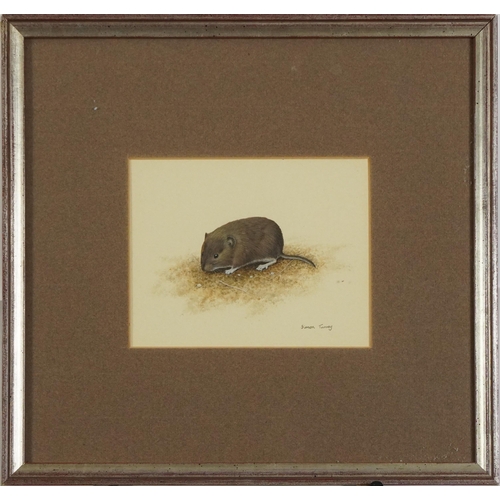 235 - Simon Turvey - Field mouse and otter, near pair of  wildlife gouaches, mounted, framed and glazed, t... 