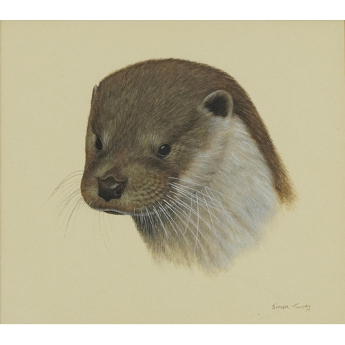 235 - Simon Turvey - Field mouse and otter, near pair of  wildlife gouaches, mounted, framed and glazed, t... 