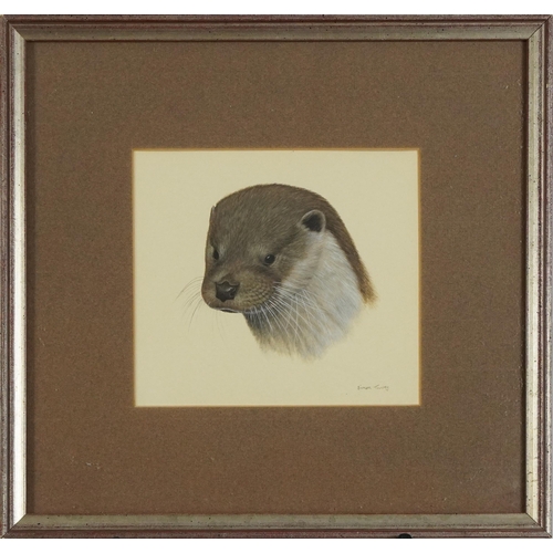 235 - Simon Turvey - Field mouse and otter, near pair of  wildlife gouaches, mounted, framed and glazed, t... 