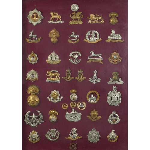 2413 - Military interest cap badges arranged in a glazed display including The Royal Sussex Regiment, Cornw... 