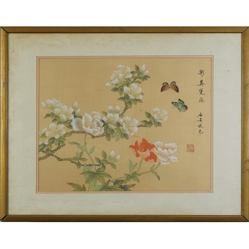 310 - Two Geishas and butterflies amongst flowers, two Chinese watercolours on silk, signed with calligrap... 