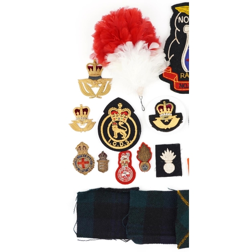 2429 - Military interest cloth badges, cap badges and shoulder titles including Warden and Argyll Black Wat... 