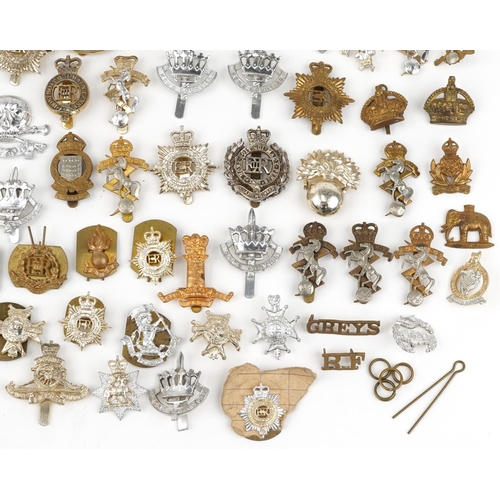 2415 - Large collection of British military interest cap badges including 10th Royal Hussars and Royal Engi... 