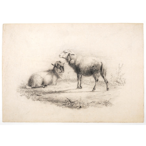 44 - Attributed to Thomas Sidney Cooper - Sheep in a landscape, 19th century charcoal on paper, unframed,... 