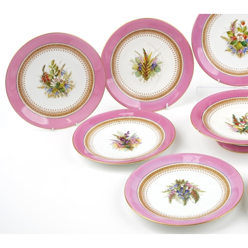 166 - Royal Worcester, Victorian pink ground Botanical dessert service hand painted with various flowers c... 