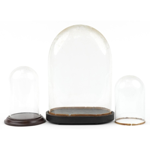 352 - Three 19th century and later glass clock domes including a large example with oval ebonised base, th... 