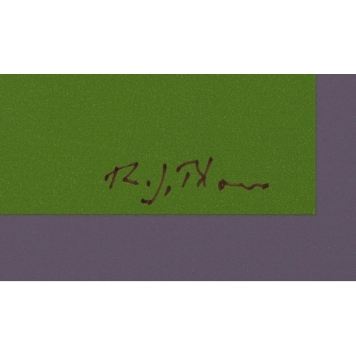873 - Fourteen contemporary Richard Blower art and photography prints on board, the largest 119cm x 75cm
(... 