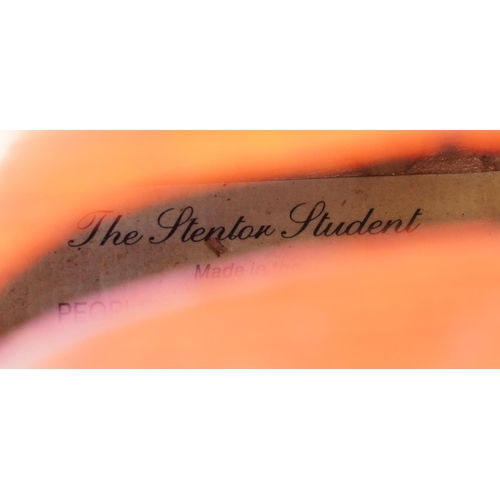622 - Stentor Student full sized cello, paper label to the interior, the back 30.5 inches in length