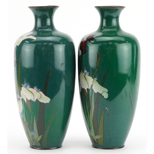 29 - Large pair of Japanese cloisonne vases enamelled with iris, each 31cm high
