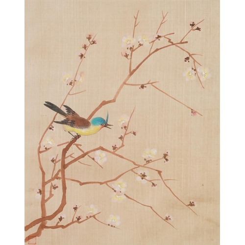 458 - Birds amongst peony blossom and chrysanthemums, set of three Chinese watercolours on silk with red s... 