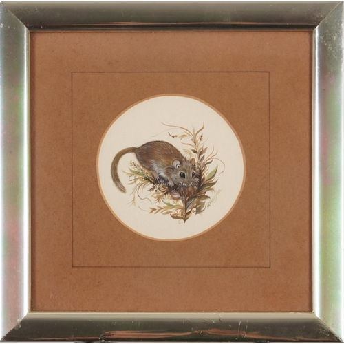 1214 - Anne Elson - Field mouse, circular heightened watercolour, gallery label verso, mounted, framed and ... 