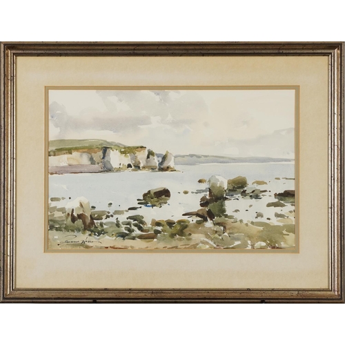 241 - Edward Wesson - Jurassic Coast, Dorset, Modern British watercolour, mounted, framed and glazed, 49cm... 