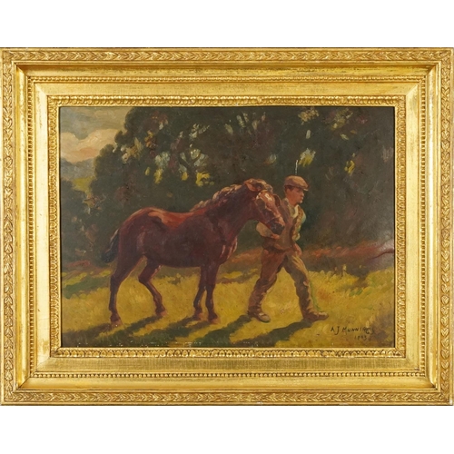 242 - After Alfred Munnings - Horse and Trainer, Impressionist oil on board, framed, 51cm x 37cm excluding... 