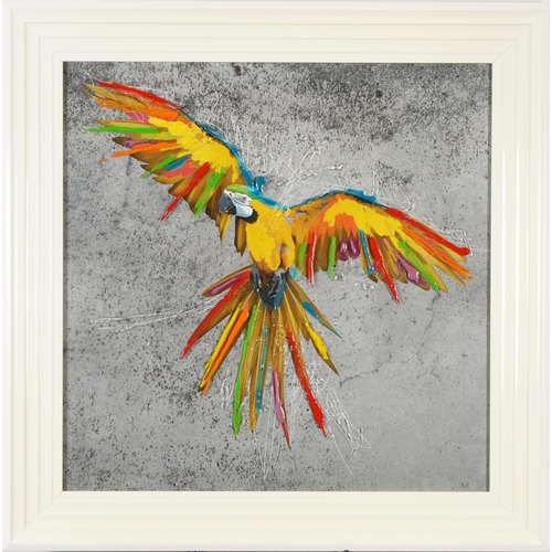 245 - Parrot in flight, mixed media and photographic print, framed and glazed, 58.5cm x 58.5cm excluding t... 