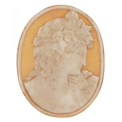 3194 - Large Victorian cameo panel of a classical male, 5.5cm in length