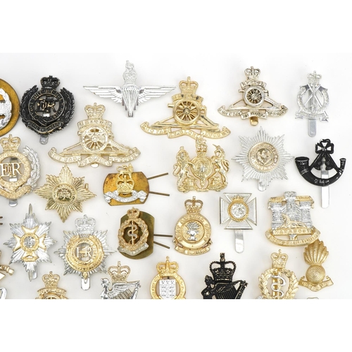 1258 - Military interest cap badges including Gloucestershire, Fearnaught and Royal Hampshire