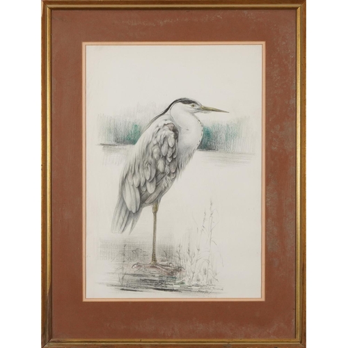 485 - Japanese crane and heron, pair of coloured chalks, mounted, framed and glazed, each 51cm x 36cm excl... 