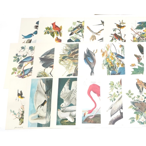 798 - The Audubon Folio, Thirty Great Bird Paintings with Text by George Dock Jr