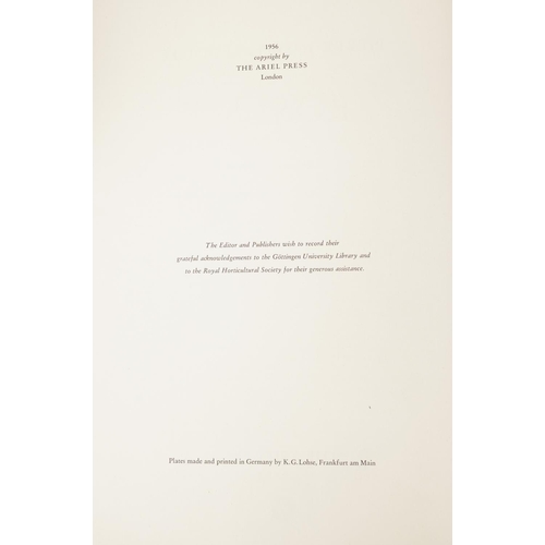 797 - Roses 2, book with botanical prints by Pierre-Joseph Redoute, 40.5cm x 30cm