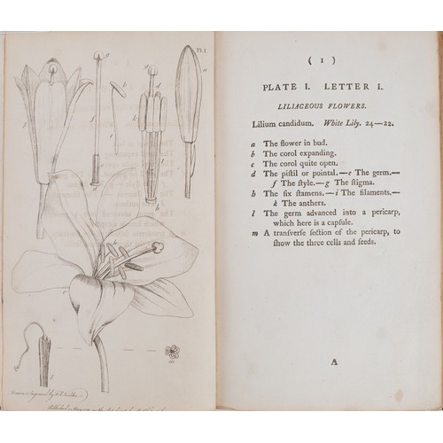 792 - Thirty-eight Plates with Explanations: Intended to Illustrate Linnaeus's System of Vegetables, 18th ... 