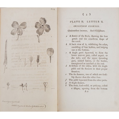 792 - Thirty-eight Plates with Explanations: Intended to Illustrate Linnaeus's System of Vegetables, 18th ... 