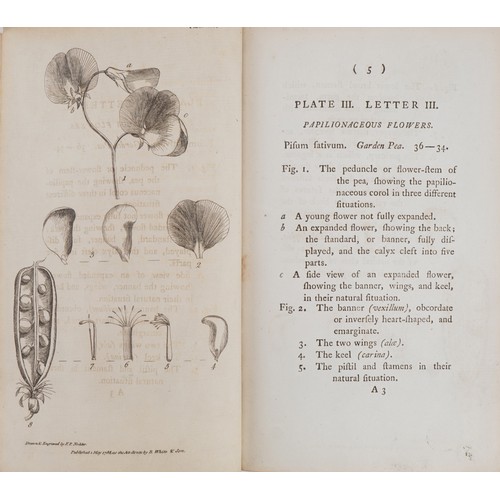 792 - Thirty-eight Plates with Explanations: Intended to Illustrate Linnaeus's System of Vegetables, 18th ... 